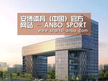 案例展示四